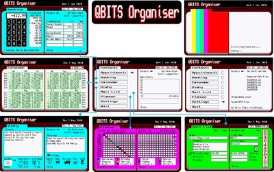 QBITS Organiser.jpg